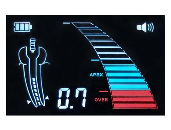 Custom VA Segment LCD display
